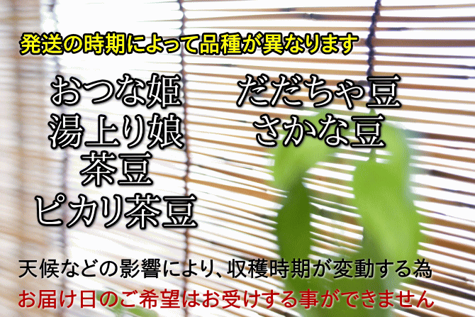 【新潟 くろさき茶豆】は、発送の時期により枝豆の品種が異なります