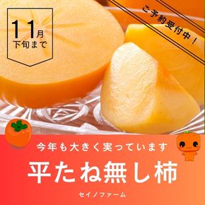 新潟産 渋柿 平たねなし柿は、11月下旬まで