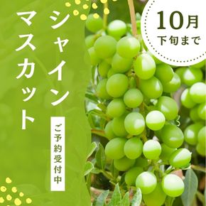 布施ぶどう園のシャインマスカットの発送スケジュール