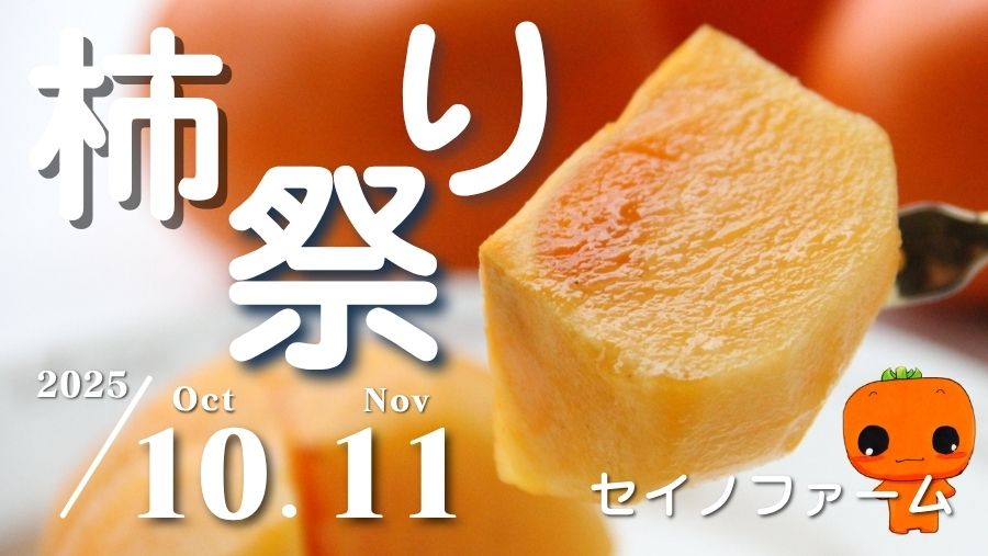 新潟産おけさ柿 セイノファームの白鳥柿、販売中