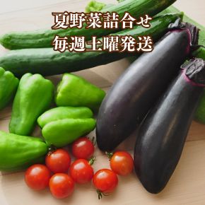 夏野菜詰合せセット、毎週土曜日発送中