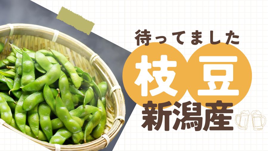 いよいよ新潟産枝豆の季節がやってくる