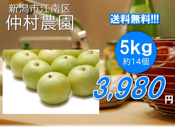 仲村農園の二十世紀梨は、5kg3980円で送料無料!