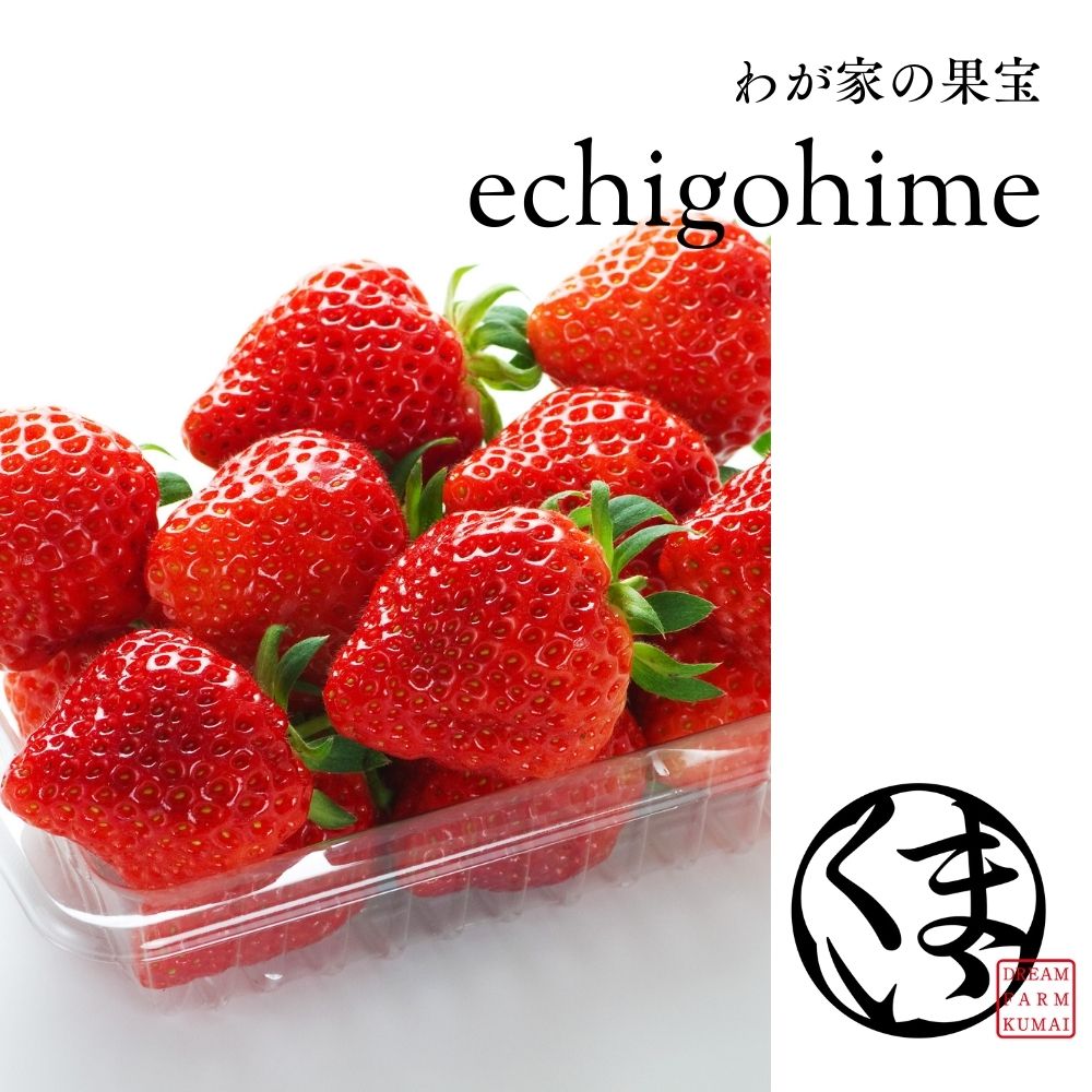 わが家の果宝、新潟のブランドいちご越後姫