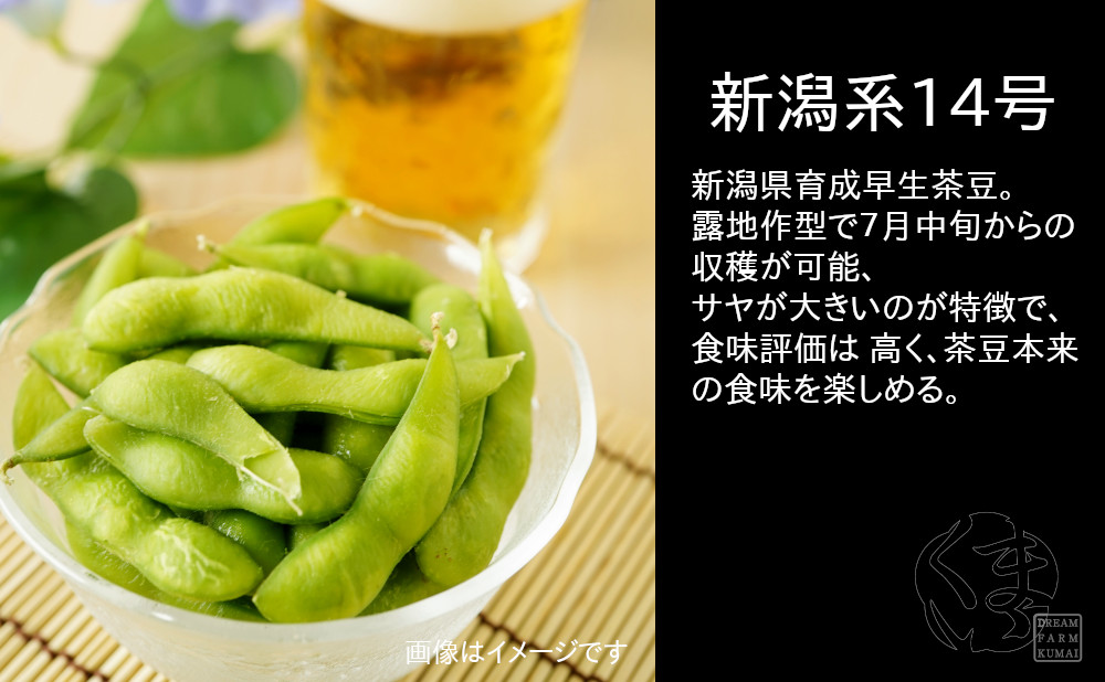 早生茶豆品種の新潟系14号です