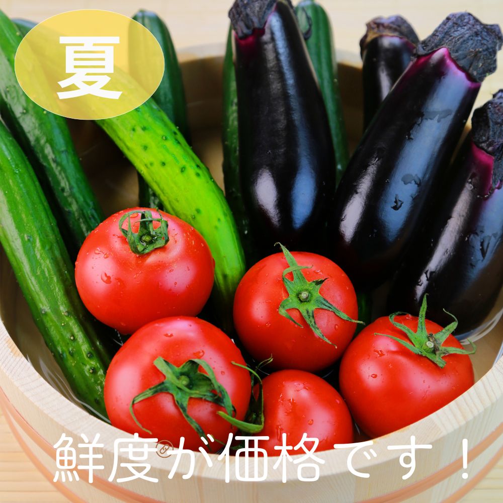 7月の野菜セットは、鮮度が価格です！