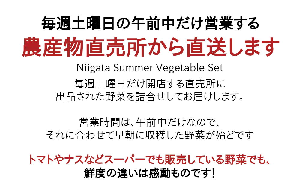 早朝に収穫した夏野菜を詰合せして直送します