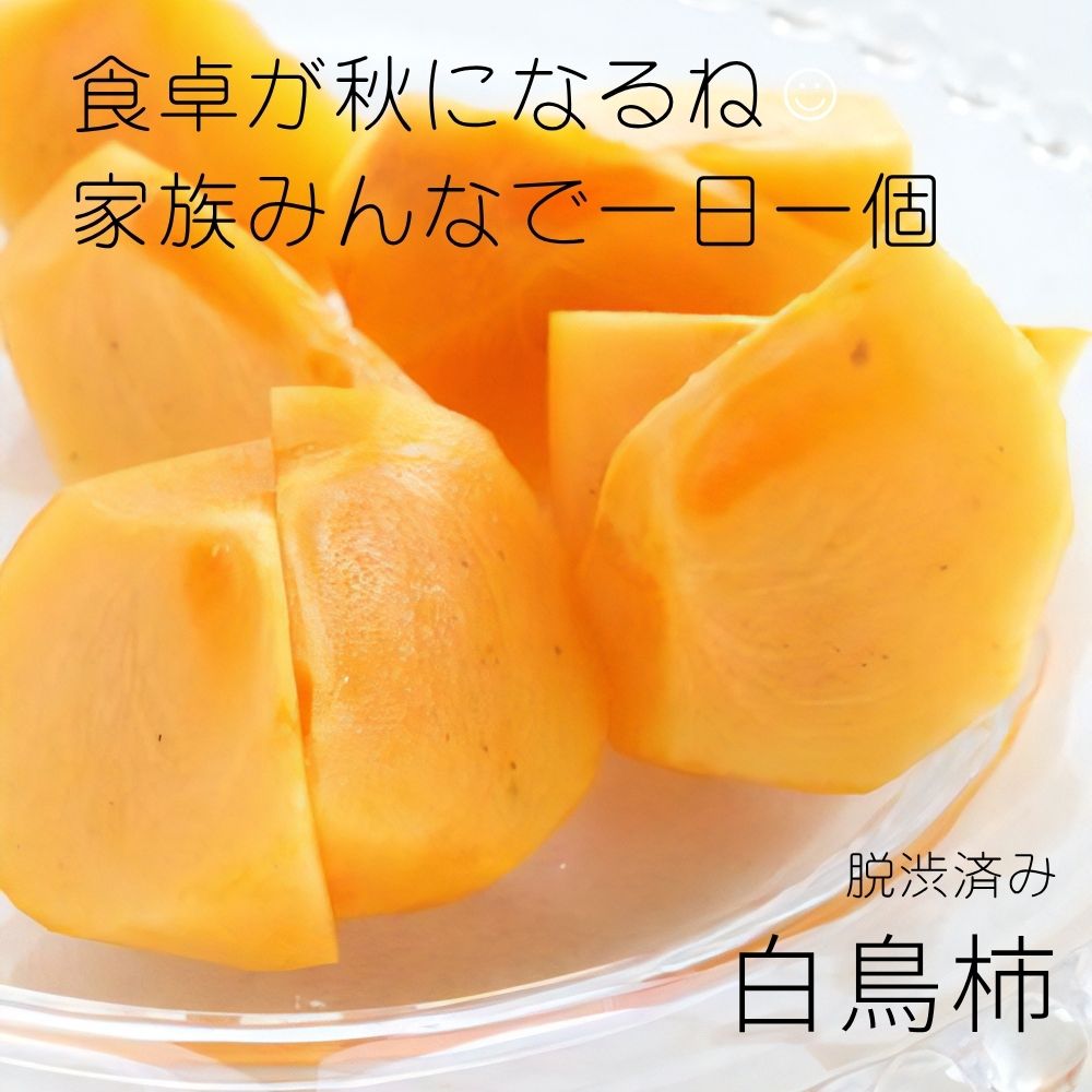 脱銃済み 渋柿 家族みんなで一日一個