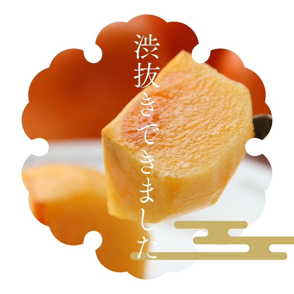 セイノファームの白鳥柿の渋抜きができました