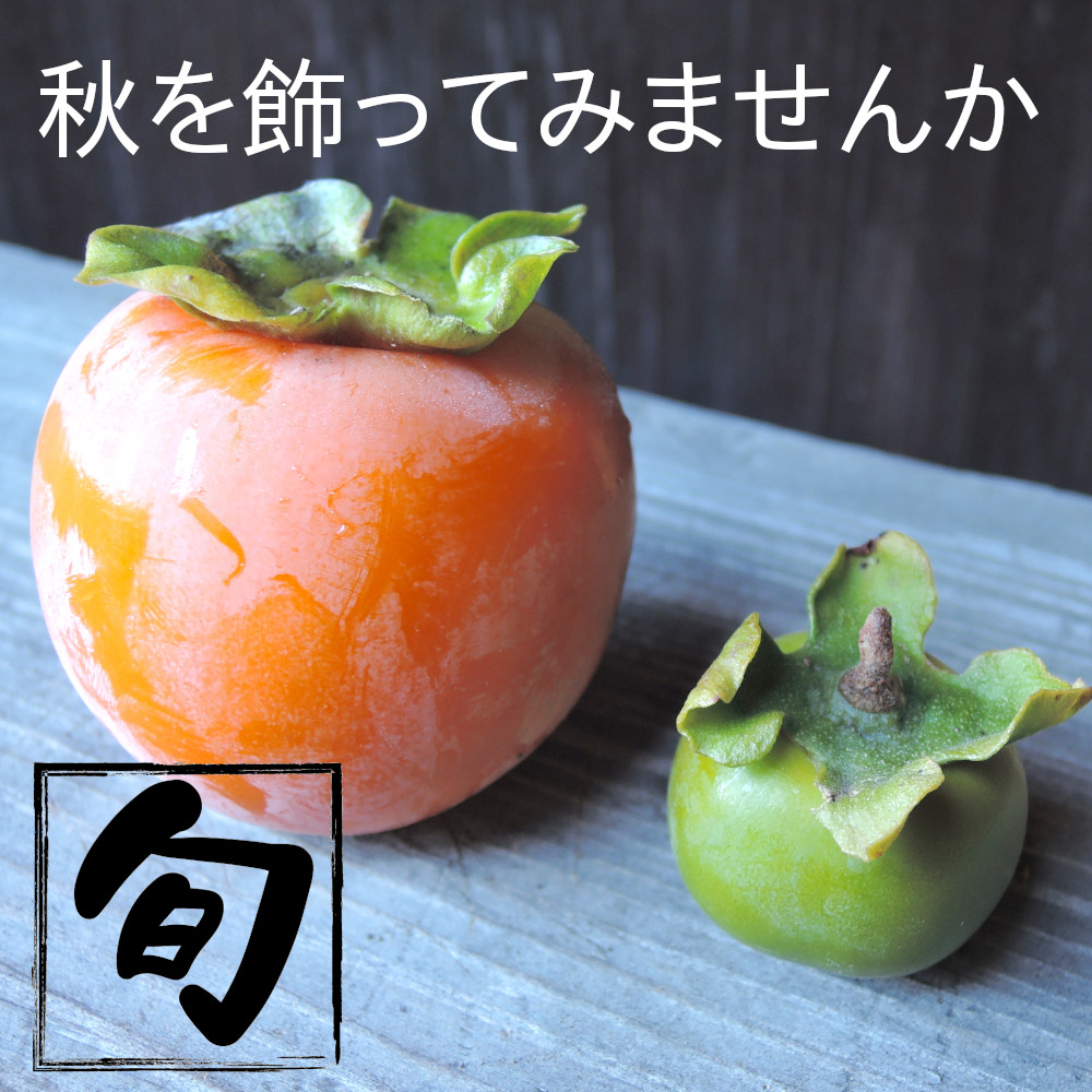 セイノファームの小さい柿の実で秋を飾ってみませんか
