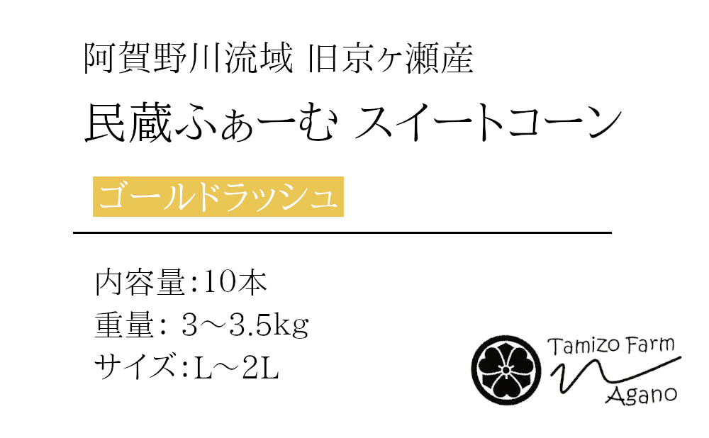新潟のトウモロコシ１０本セットの商品詳細