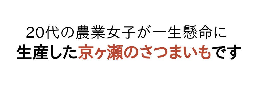 20代の農業女子が一生懸命に生産したさつまいもです