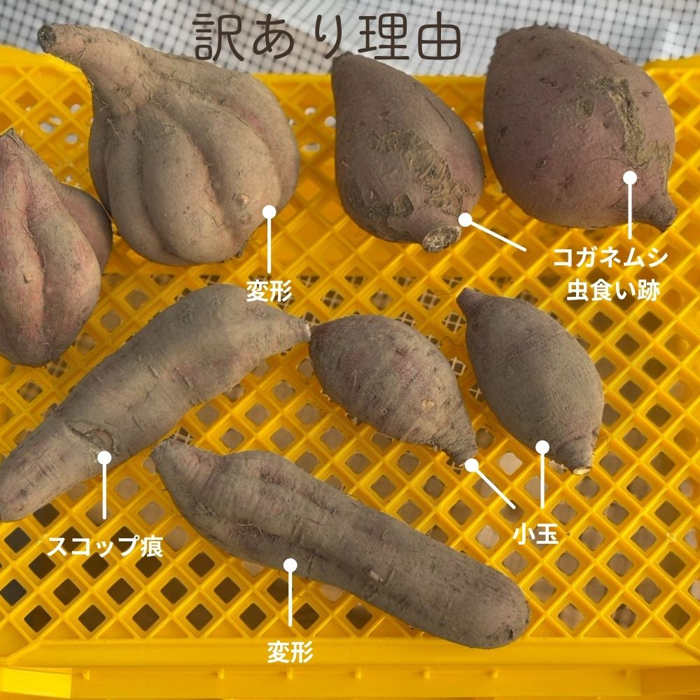 訳ありさつまいもの一覧