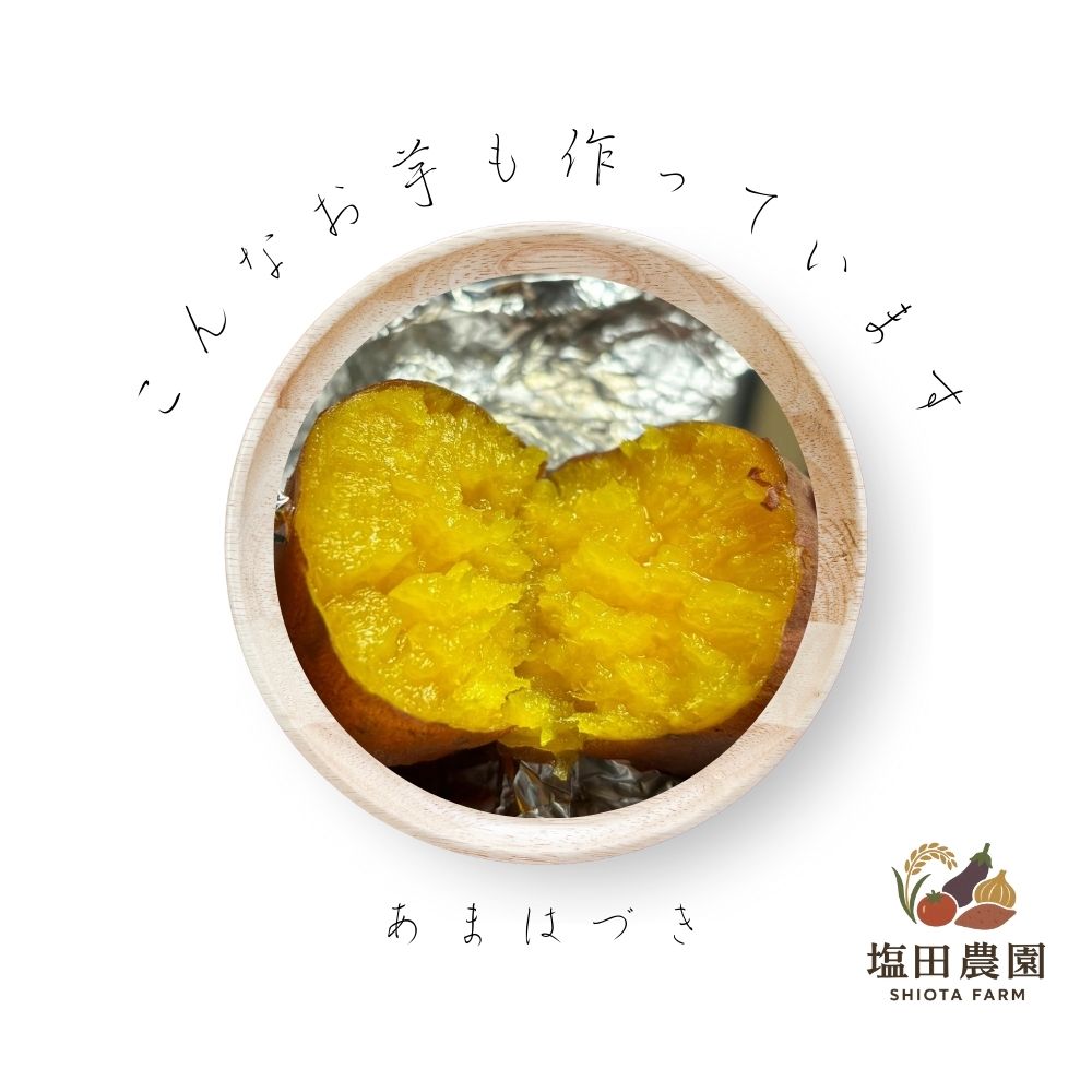 塩田農園は、こんなさつまいもも作っています。「あまはずき」