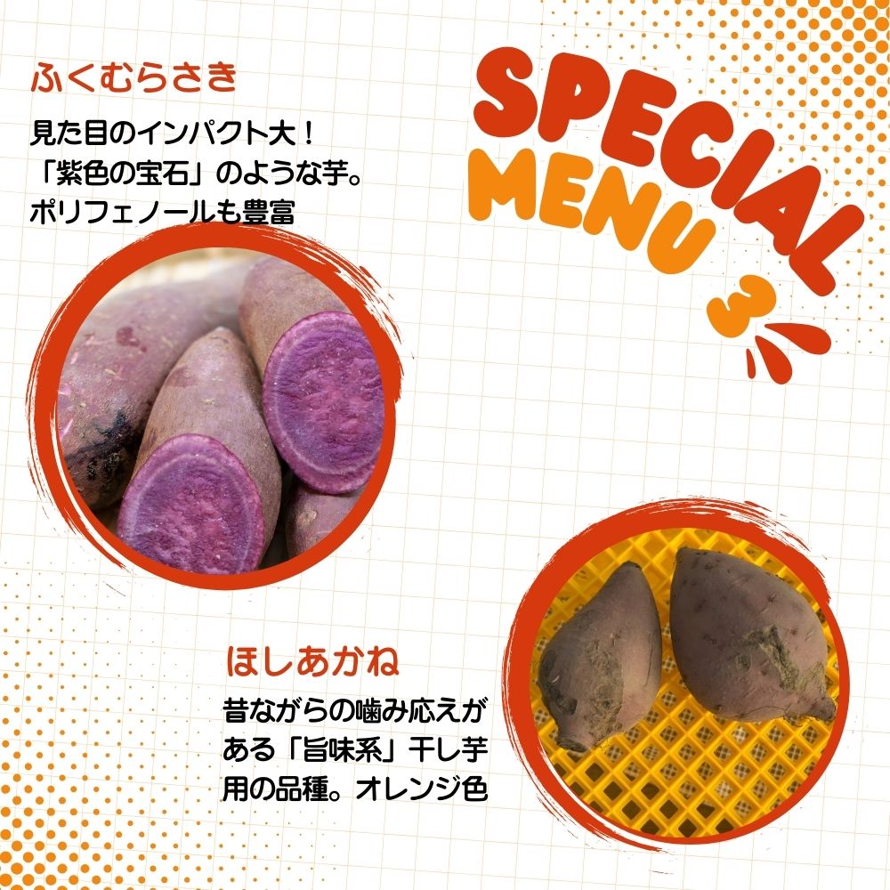 塩田農園のさつまいも図鑑3。「ふくむらさき」「ほしあかね」