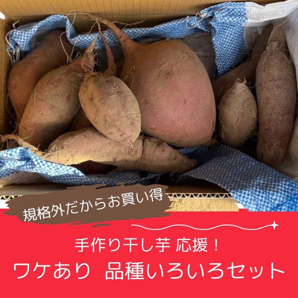 【ワケありだからお得！】干し芋におススメな規格外さつまいも品種いろいろ食べ比べセットを特別価格でご提供！