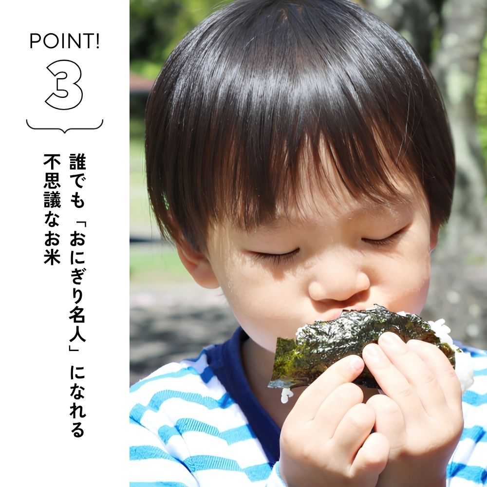 誰でも「おにぎり名人」になれる不思議なお米
