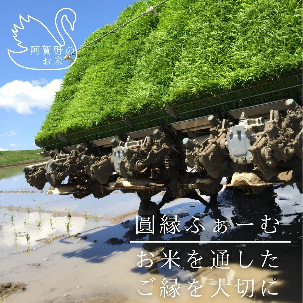 新潟県阿賀野市 圓縁ふぁーむのお米でできた最高級パックご飯150ｇ