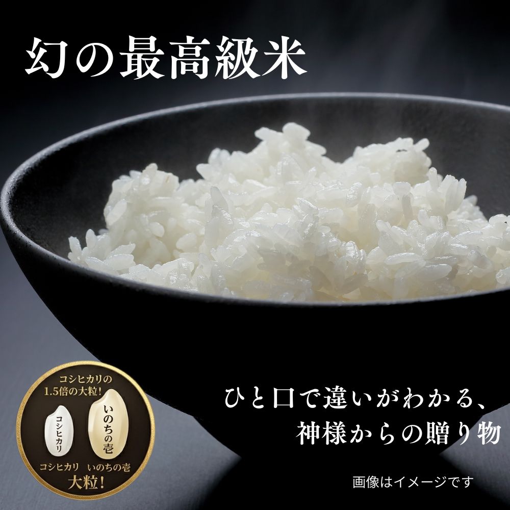 偶然から発見された、神様からの贈り物。市場には滅多に出回らない『幻の最高級米』 いのちの壱