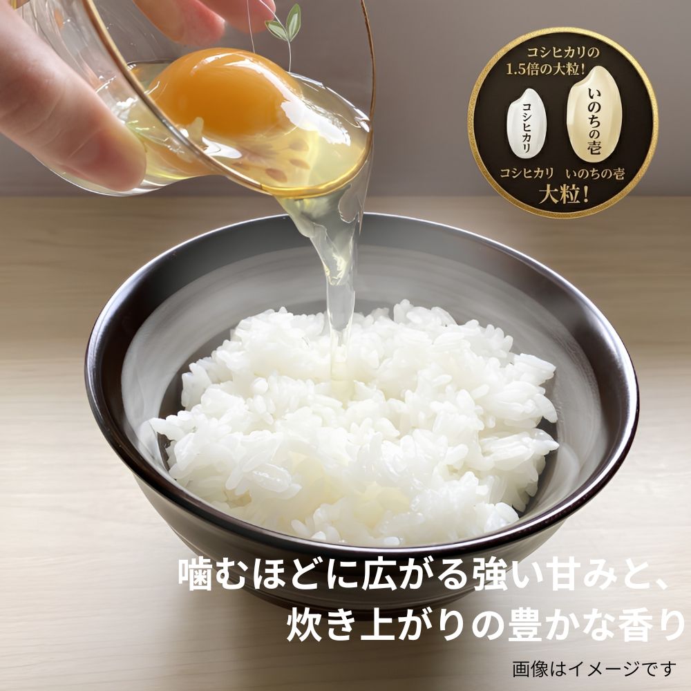 新潟阿賀野産「いのちの壱」パックご飯 20日分（20個セット）