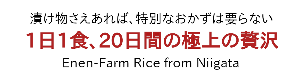 漬け物さえあれば、特別なおかずは要らない！一日一食、20日間の極上の贅沢