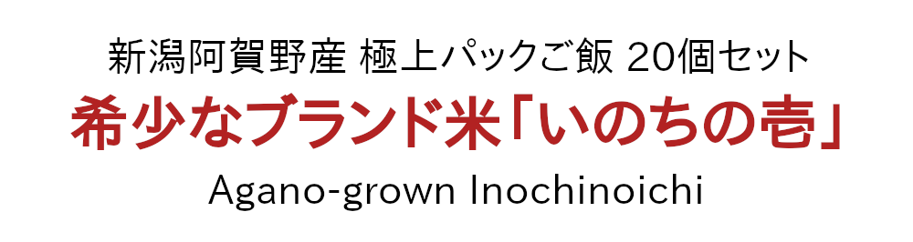 農家直送！新潟阿賀野産「いのちの壱」極上パックご飯 20個セット