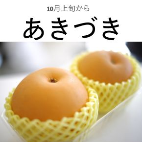 新潟仲村農園のあきづき梨は10月上旬から