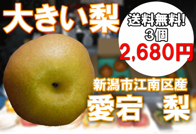 【大きい梨】新潟産愛宕梨は、3個で2680円送料無料