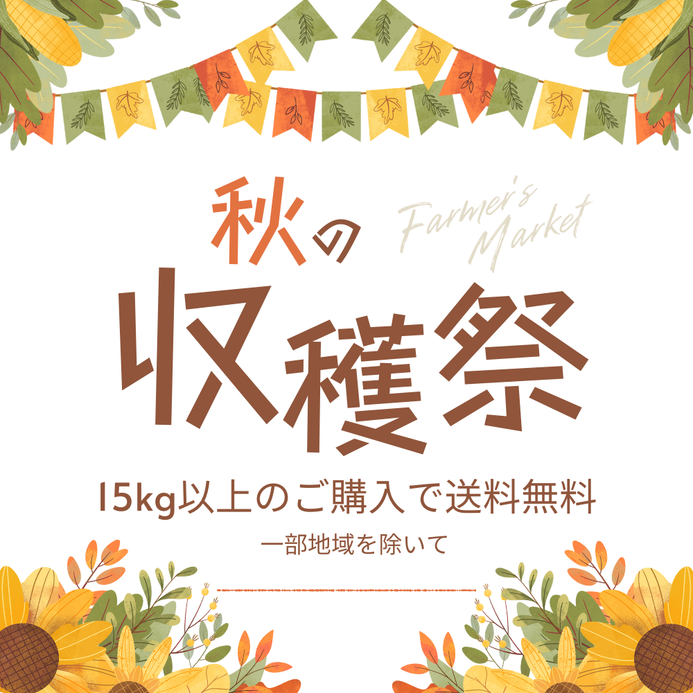 秋の収穫祭！15ｋｇ以上のご購入で送料無料