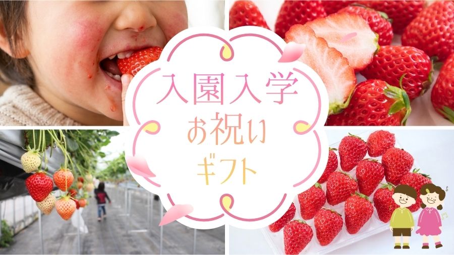 入園入学おめでとう!お祝いギフトに新潟ブランドいちごの越後姫