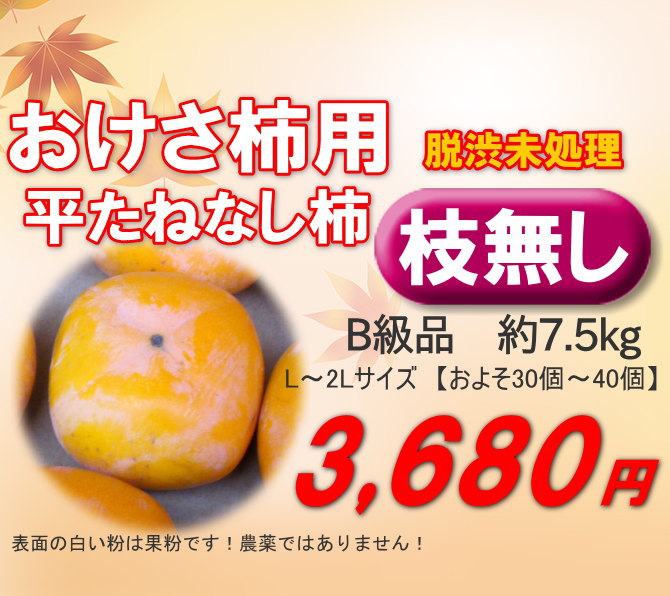 干し柿用渋柿【送料無料】新潟産平たねなし柿（生柿 B品）M～ Lサイズ 7.5kg[約30~40玉前後]枝無し 干し柿クリップ付き