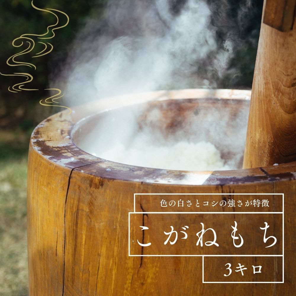 色の白さとコシの強さが特徴！こがねもち3キロセット