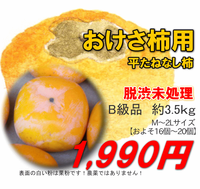 干し柿用渋柿【送料無料】新潟産平たねなし柿（生柿 Ｂ品）M～2 Ｌサイズ 約3.5ｋｇ[約16～20玉]