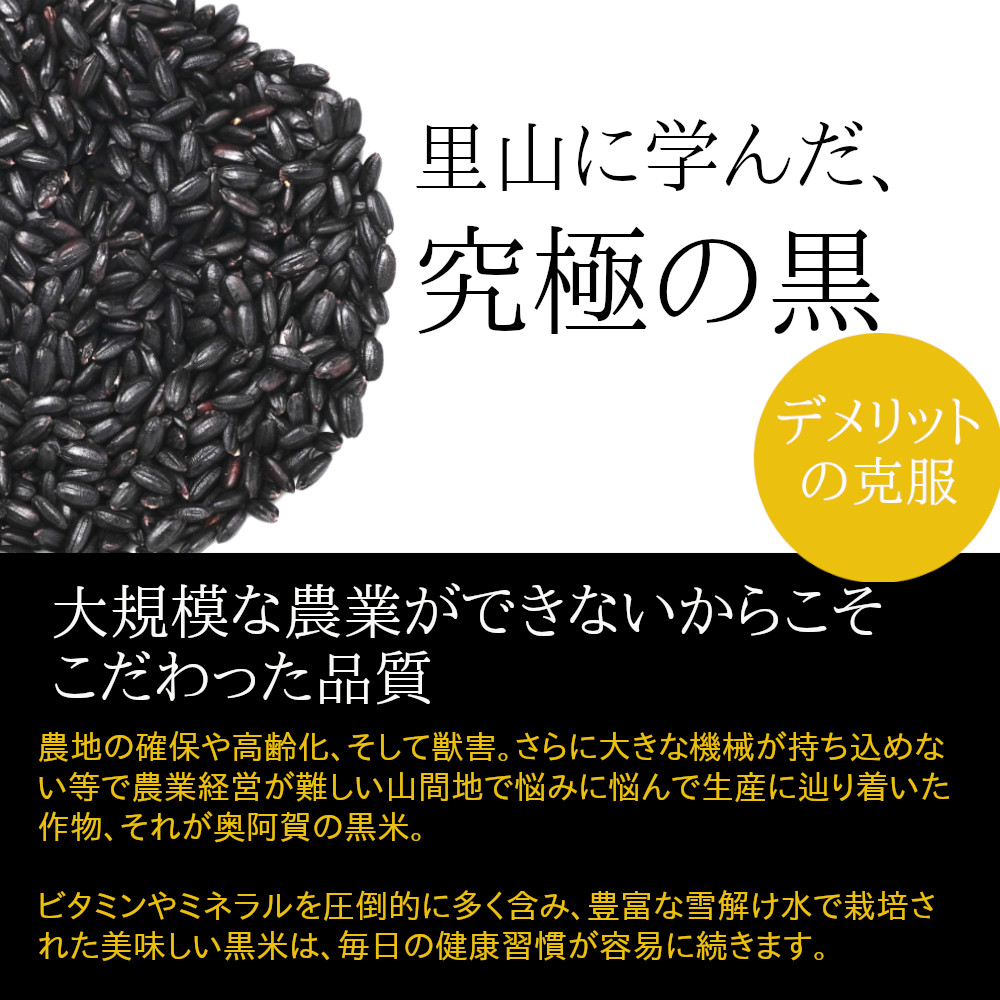 里山に学んだ究極の黒！山口さんの阿賀町産 黒米