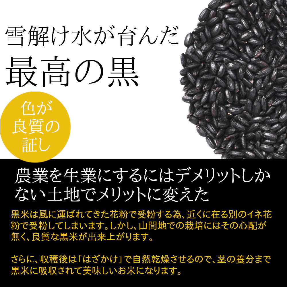 色の濃さが良質な証し、山口さんの最高の黒米