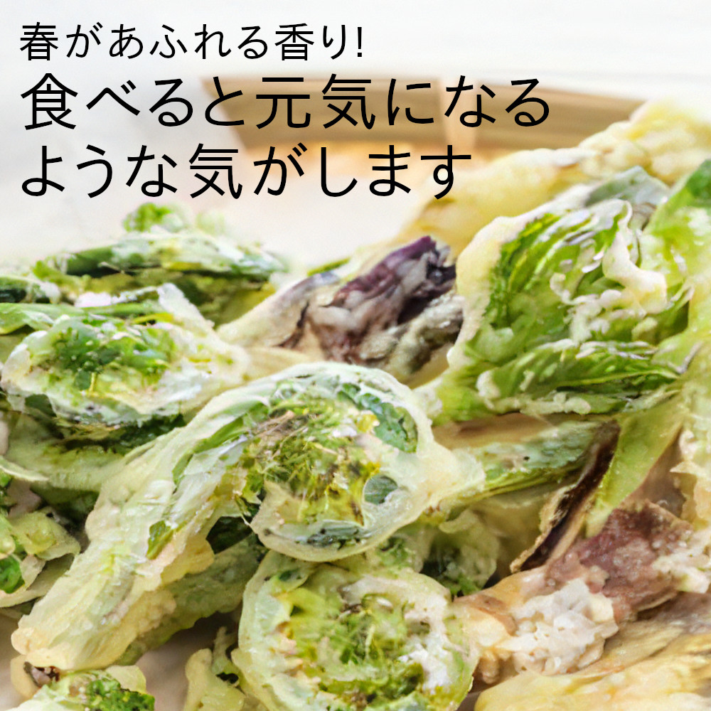 食べると元気になる気がします。天ぷらにおススメな山菜セット
