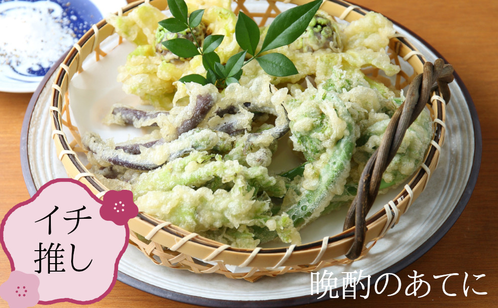 天ぷらにおススメな旬の山菜がタップリ