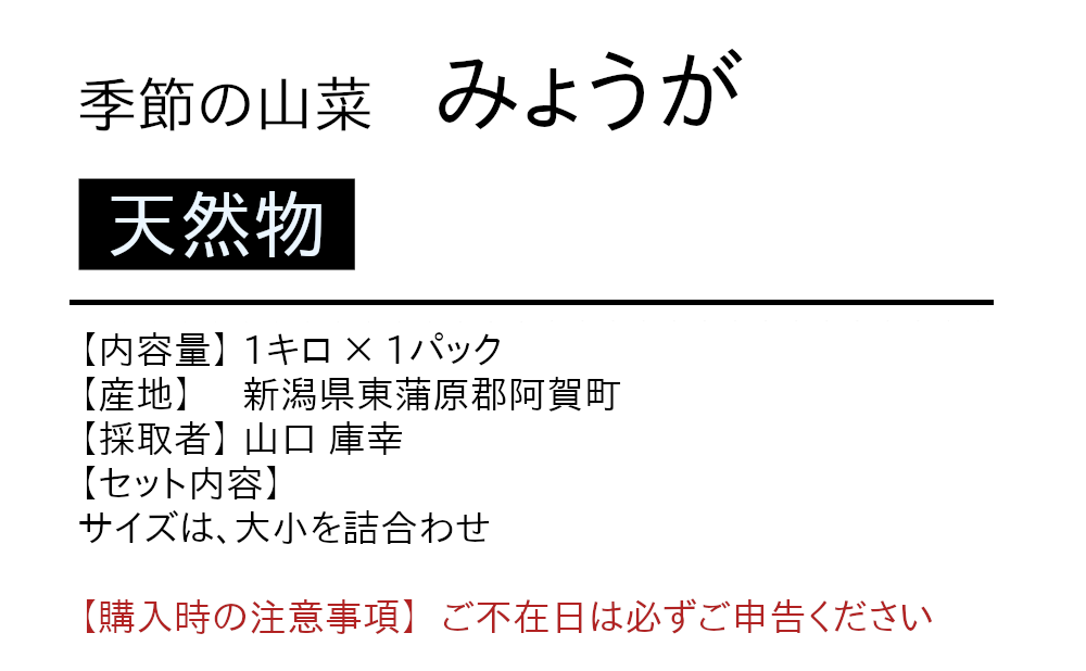 阿賀町産の天然物みょうがの商品詳細