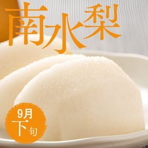 新潟産 和梨 南水梨は9月下旬から発送開始