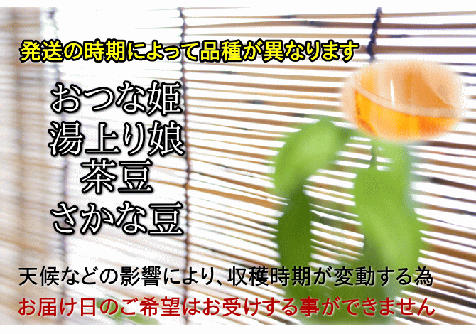【会員限定】黒埼産枝豆は、発送の時期により品種が異なります