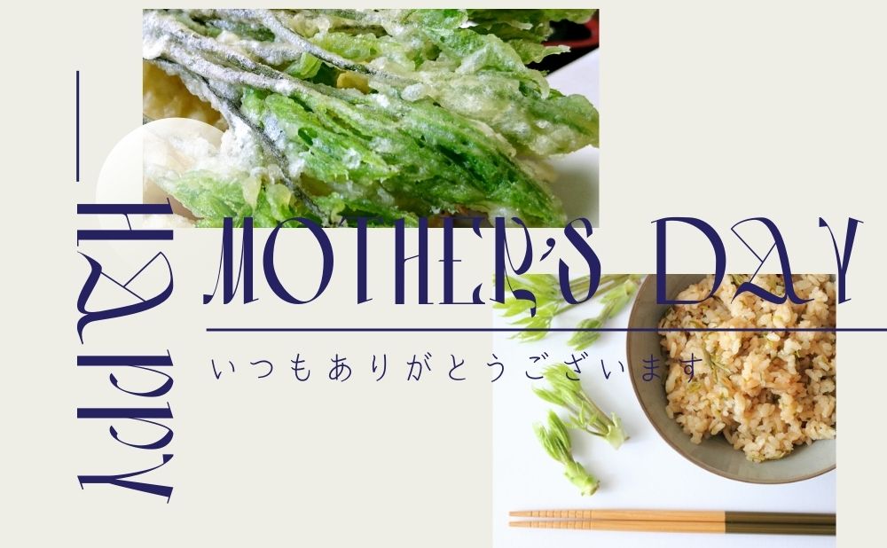 阿賀町産 春の山菜コシアブラは、母の日の贈り物にもおススメ