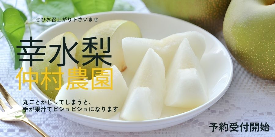 仲村農園の新潟産 幸水梨、予約受付開始！