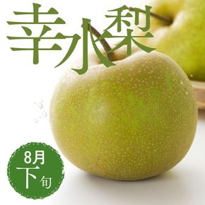 新潟産の幸水梨は。8月下旬から発送開始