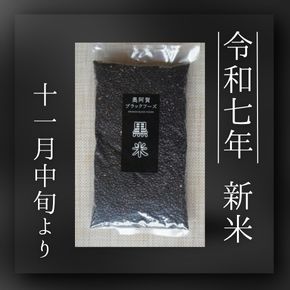 阿賀町産黒米の新米は11月中旬より