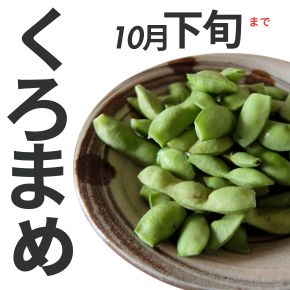 新潟 新通産 枝豆は、最後の品種 黒豆。10月下旬まで