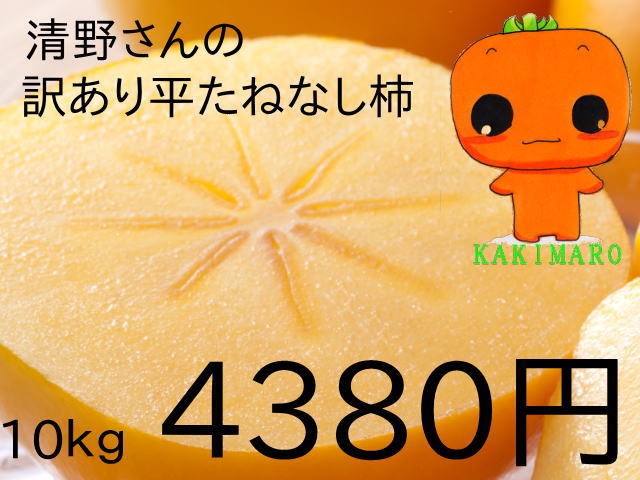清野さんの訳あり平たねなし柿10kg4380円
