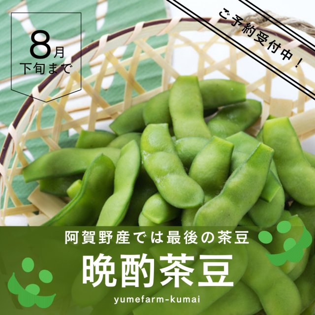 新潟県阿賀野産枝豆最後の晩酌茶豆。贈答用3キロが送料無料