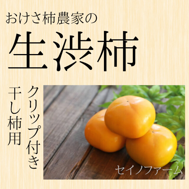 干し柿用渋柿【送料無料】新潟産 平たねなし柿（生柿　Ｂ品）Ｍ ～ 2Ｌサイズ 7.5ｋｇ [約30～40玉前後] 枝無し 干し柿クリップ付き