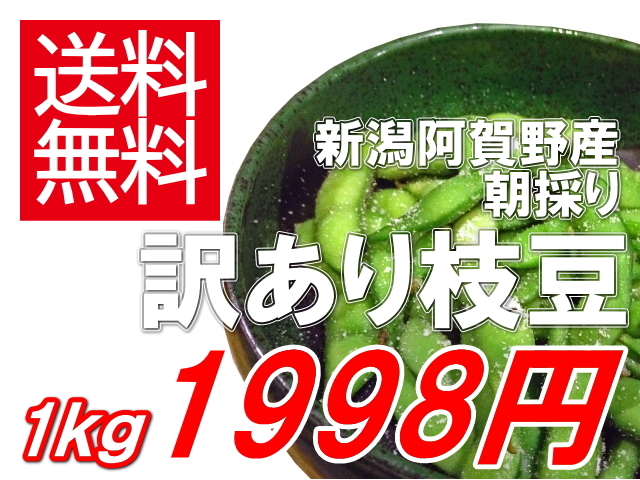 新潟県阿賀野産朝採り枝豆 訳あり1kg1998円
