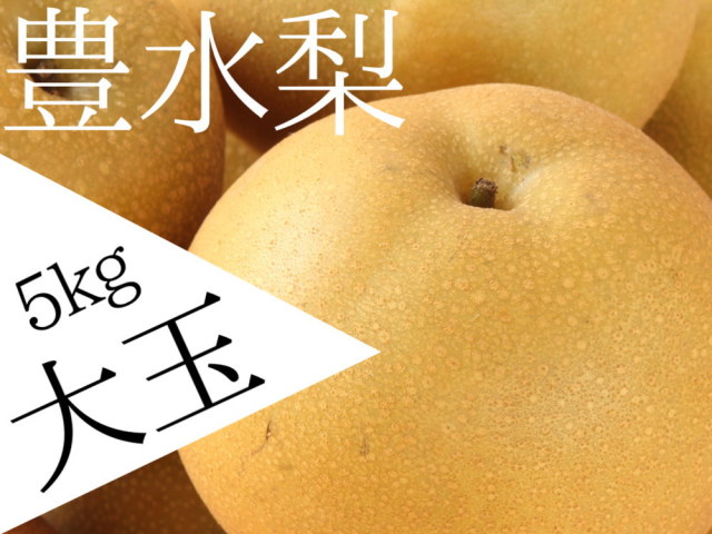 仲村農園の完熟豊水の大玉3L5kgが4180円